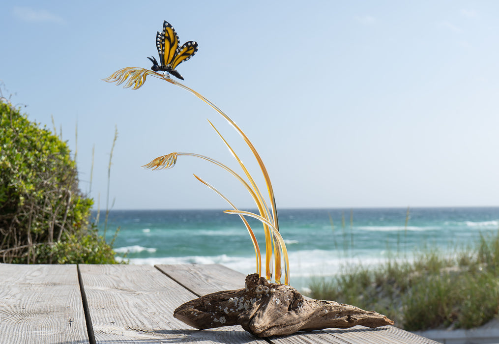 Sea oats & Monarch