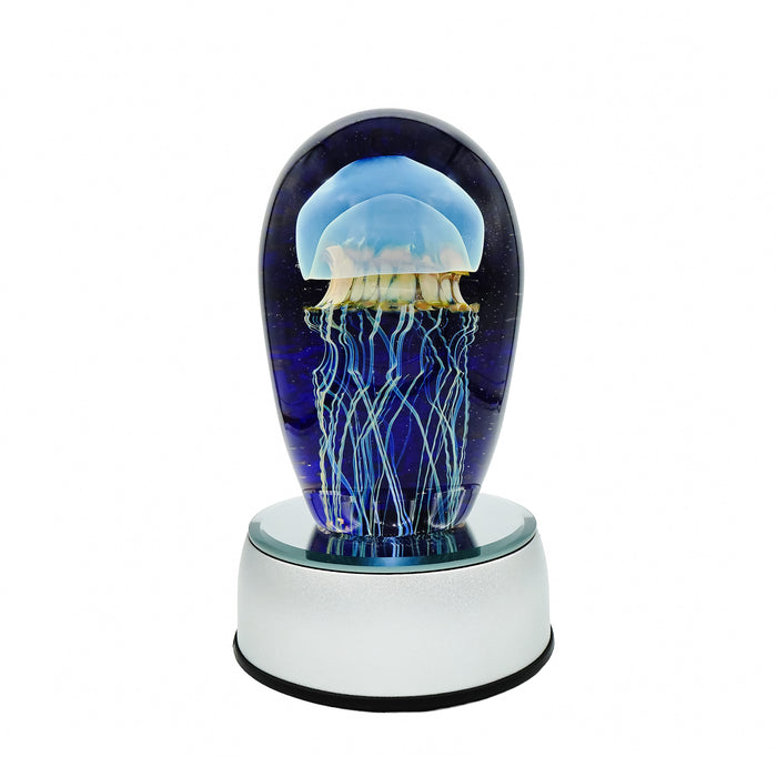 Small Moon Jellyfish Seascape