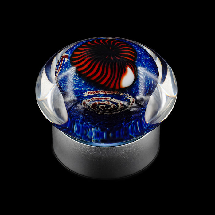 Nautilus Sapphire Paperweight