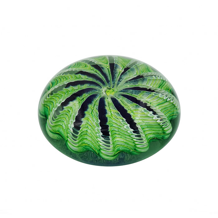 Green Sea Urchin Paperweight