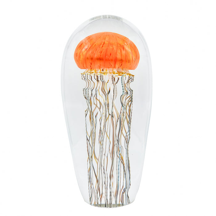 Pacific Coast Jellyfish