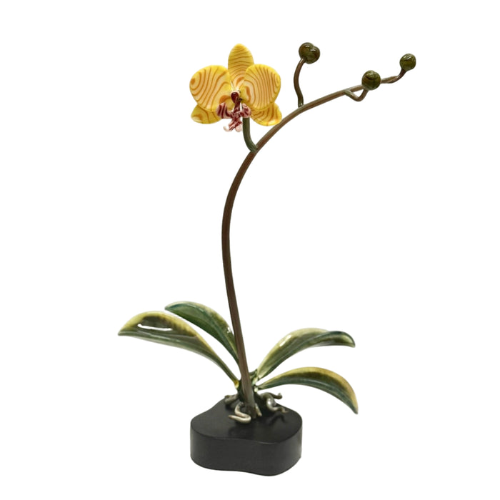 Doritaenopsis Yellow Striped Orchid Sculpture
