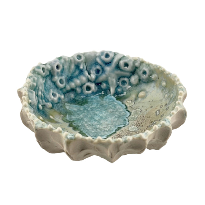 Starfish Coral Dish