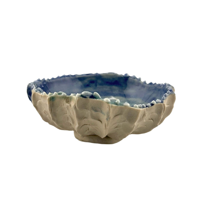 Coral Dish