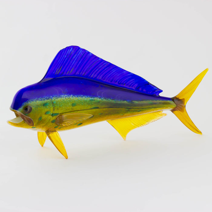 Mahi Mahi
