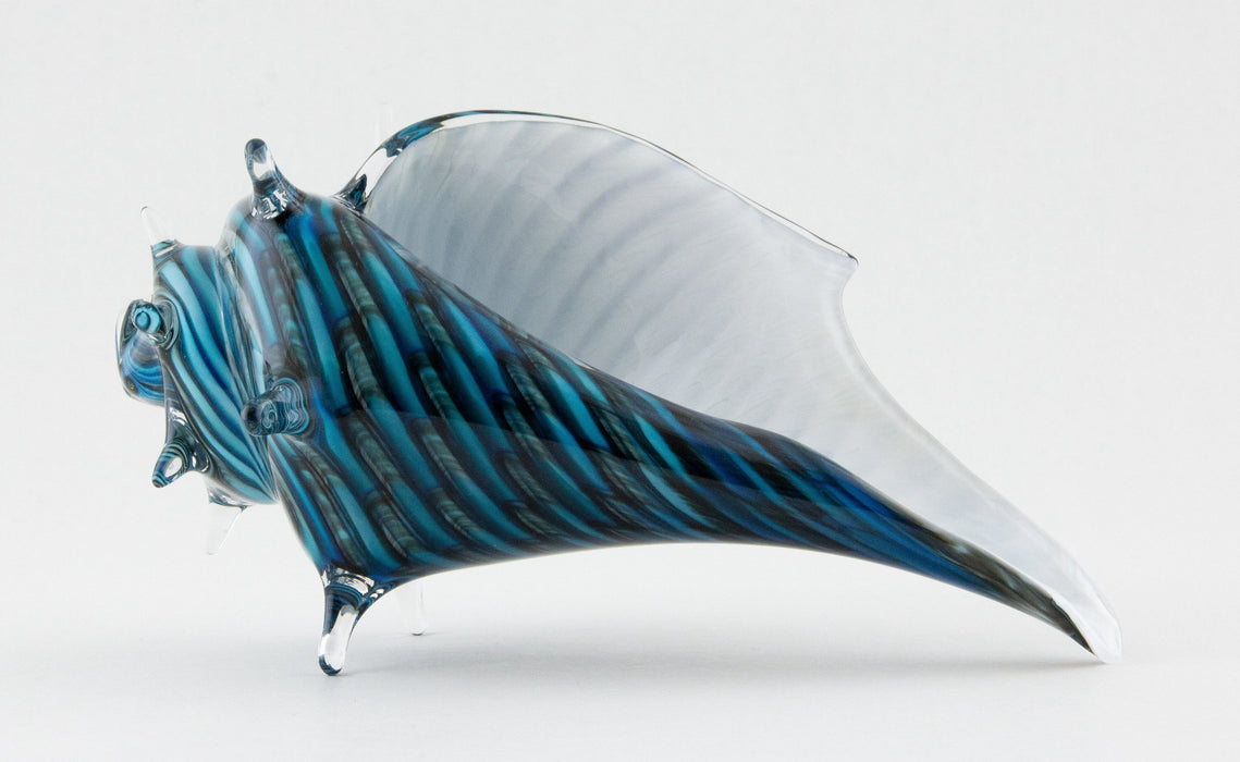 Medium Blue & White Whelk