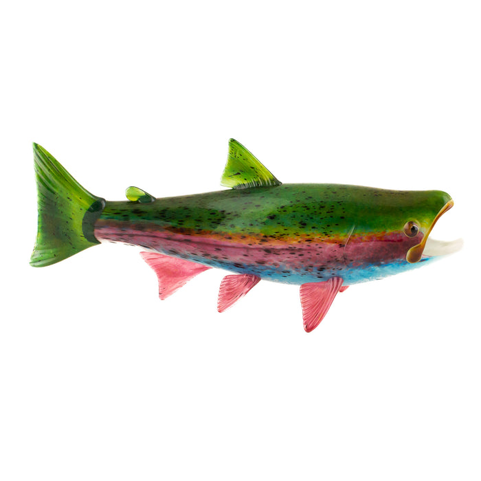 Large Rainbow Trout