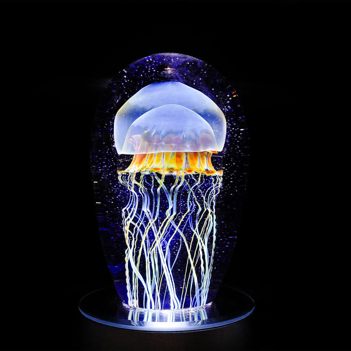 Small Moon Jellyfish Seascape
