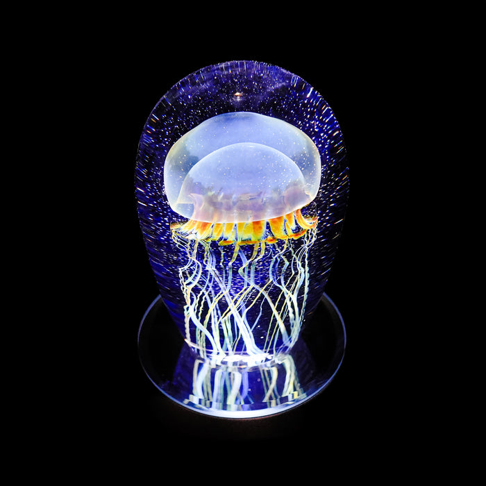 Small Moon Jellyfish Seascape