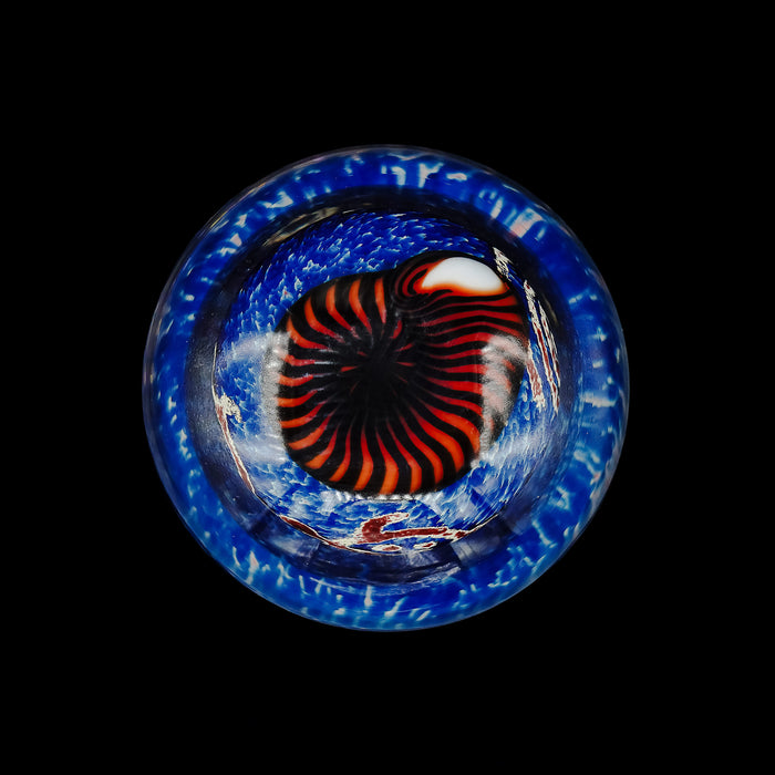 Nautilus Sapphire Paperweight