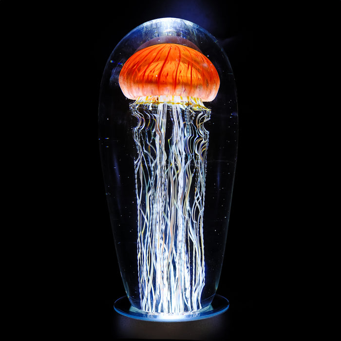 Pacific Coast Jellyfish