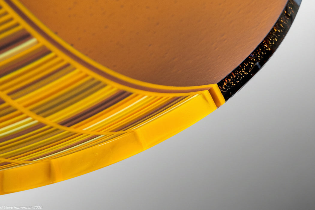 Hymenoptera XI Art Glass Bowl