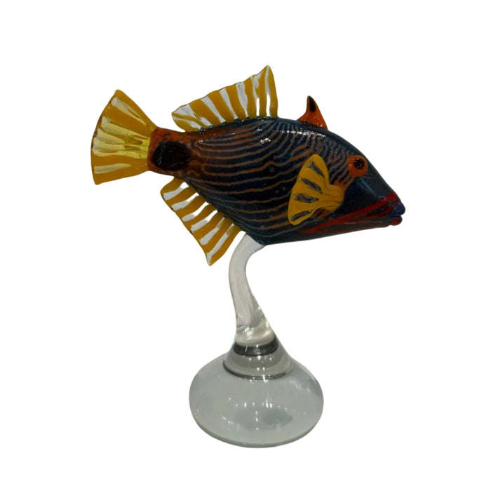 Orange Lined Triggerfish