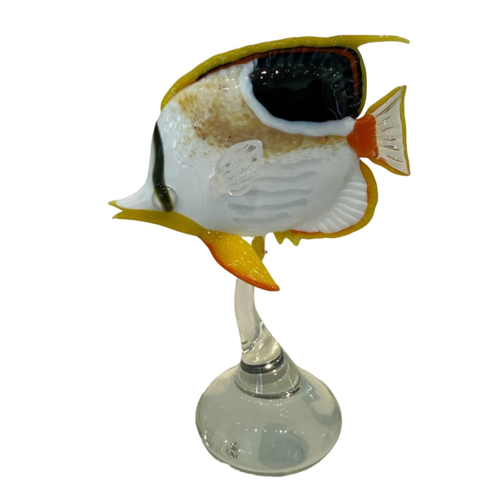 Saddleback Butterflyfish