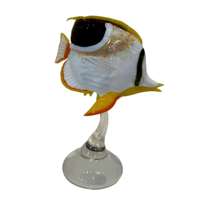 Saddleback Butterflyfish