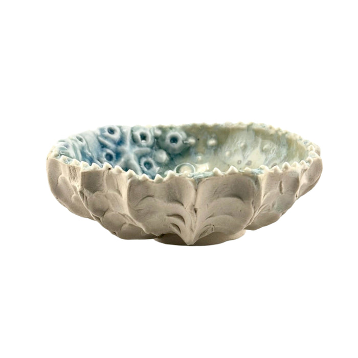 Starfish Coral Dish