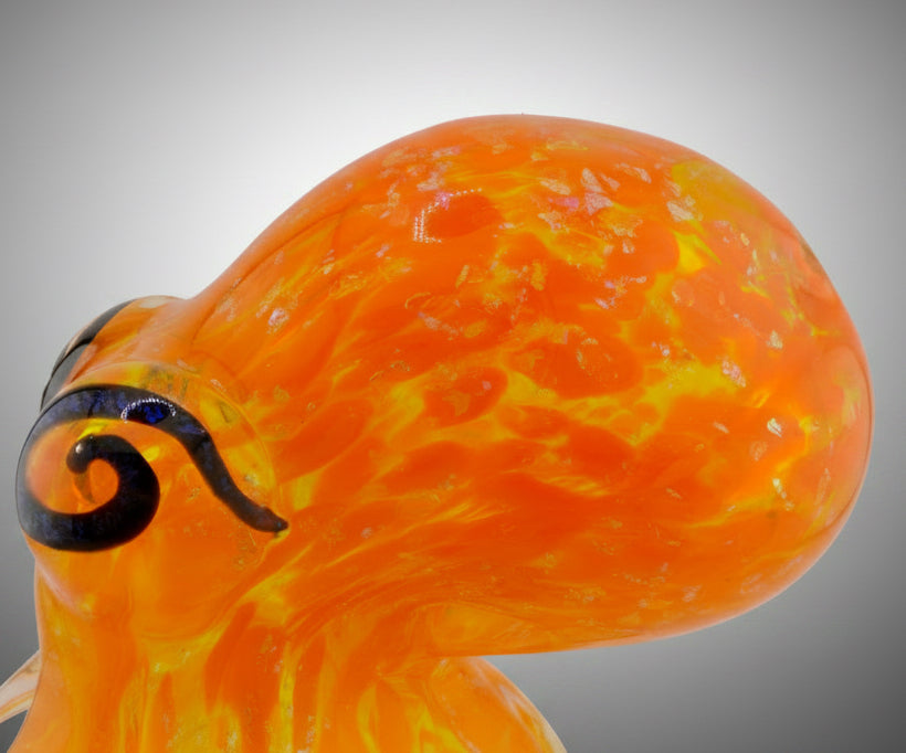 Walking Tall Sunburst Octopus