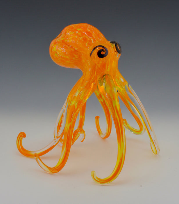 Walking Tall Sunburst Octopus