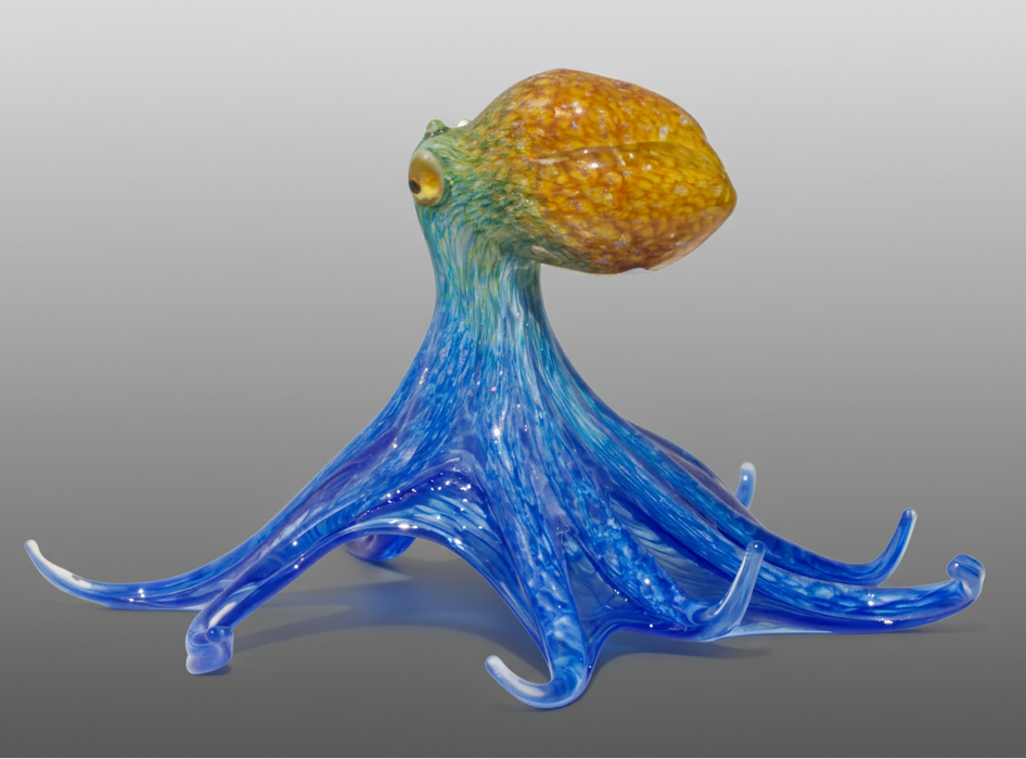 Small Webbed Mahi Octopus
