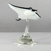 Glass manta ray sculpture on a white background