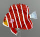 Glass fish sculpture with red and white stripes on a gray background