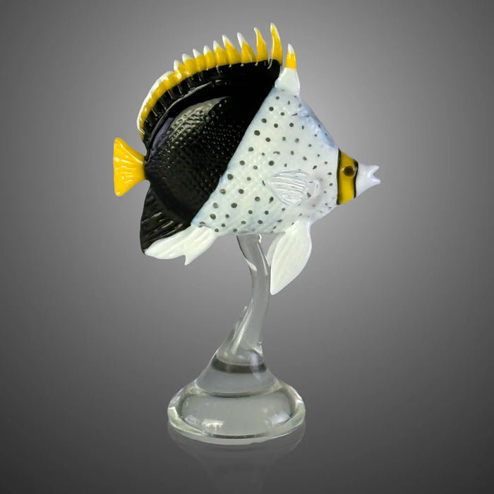 Tinker's Butterflyfish