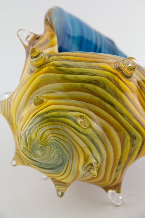 Medium Caramel & Blue Whelk