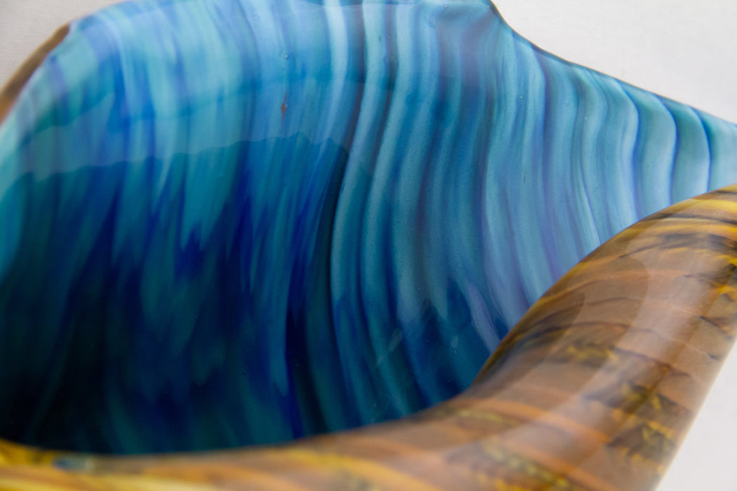Medium Caramel & Blue Whelk