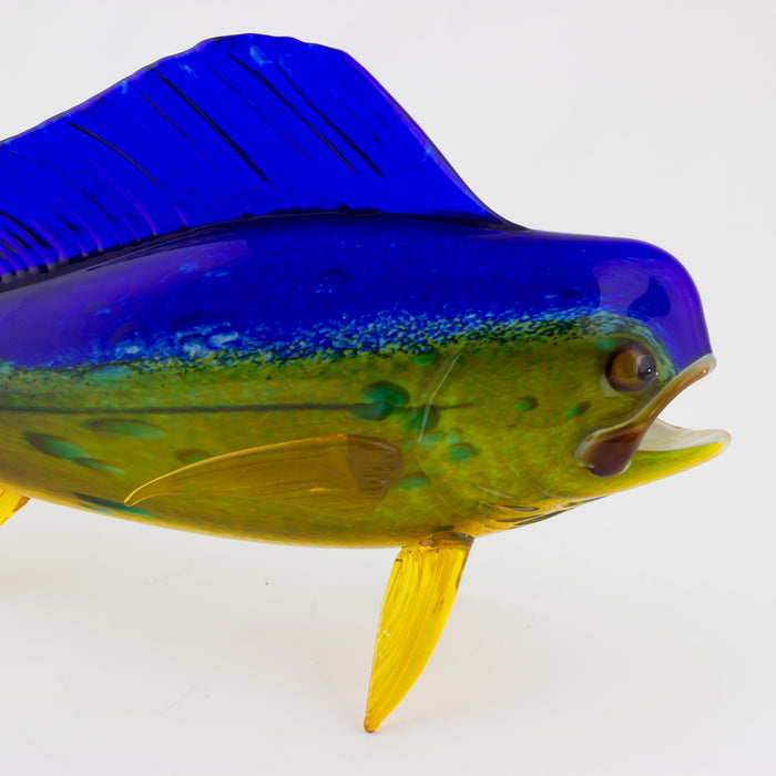 Mahi Mahi