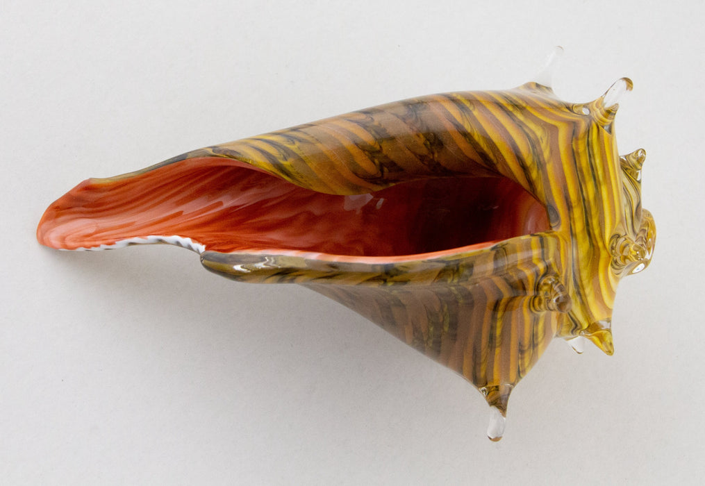 Medium Caramel & Coral Whelk