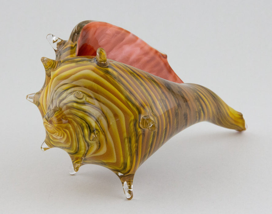 Medium Caramel & Coral Whelk