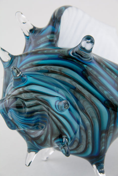 Medium Blue & White Whelk