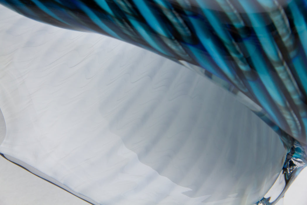 Medium Blue & White Whelk