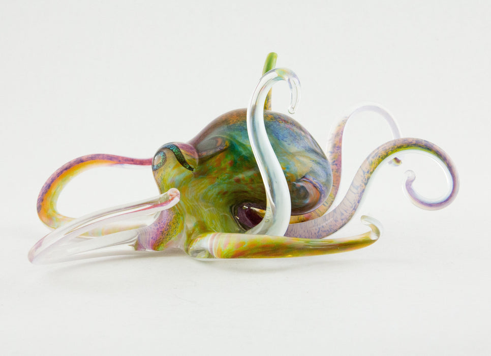 Multicolor Octopus