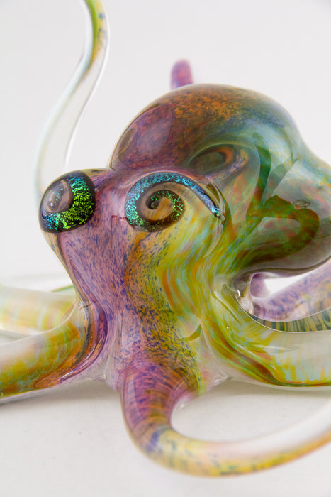 Multicolor Octopus