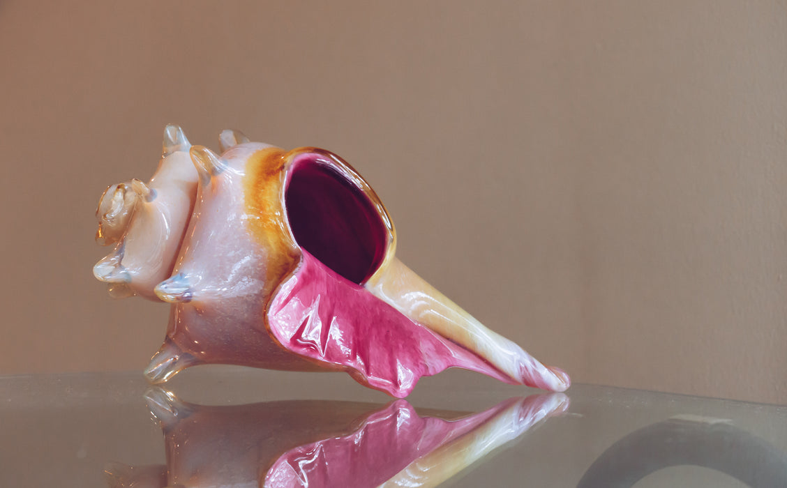Pink and Amber Shell