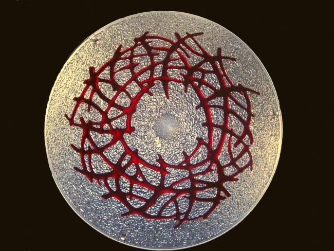 Garnet Bramble Cone Art Glass Pendant Lamp