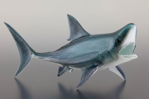 A handblown glass sculpture of a Great White Shark with flameworked fins, predominantly gray and white in color.