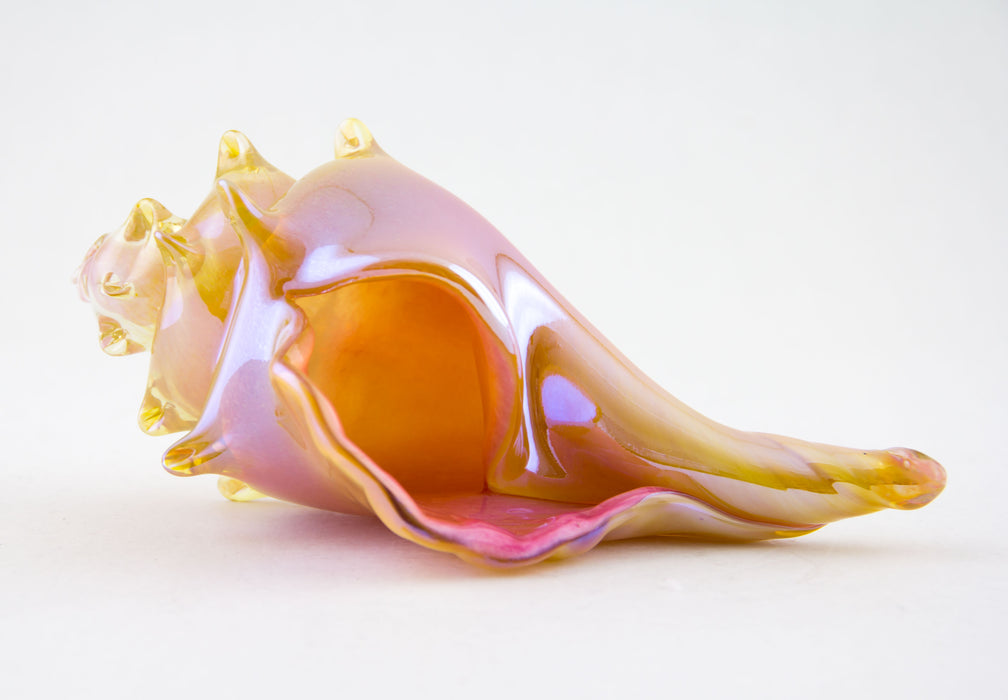 Pink and Amber Shell