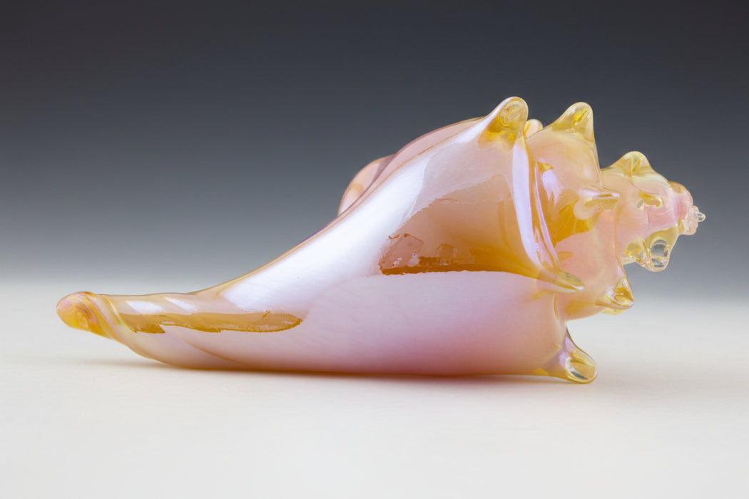 Pink and Amber Shell