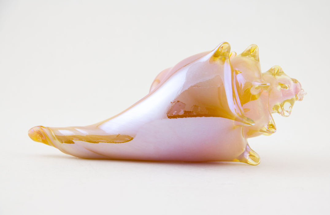 Pink and Amber Shell