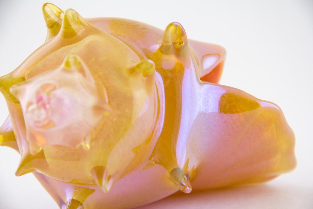Pink and Amber Shell