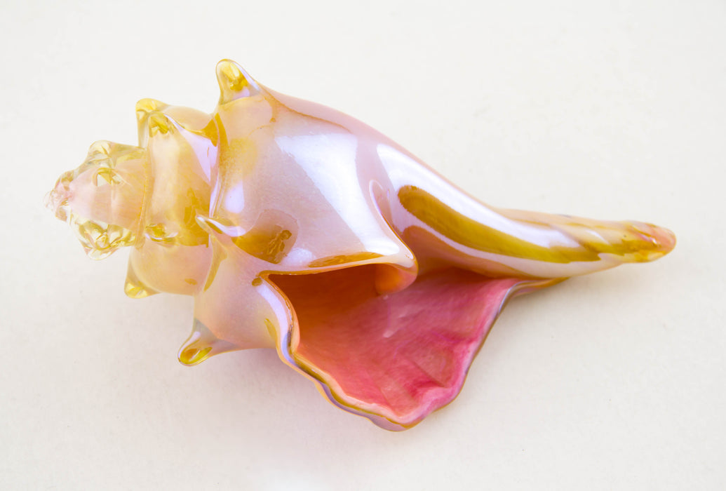 Pink and Amber Shell