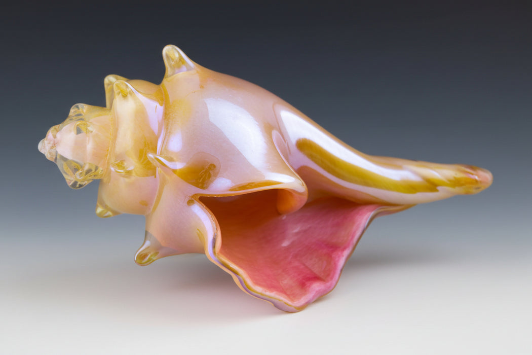 Pink and Amber Shell