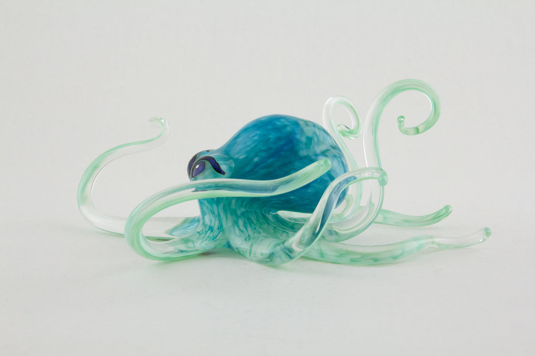 Aqua Octopus