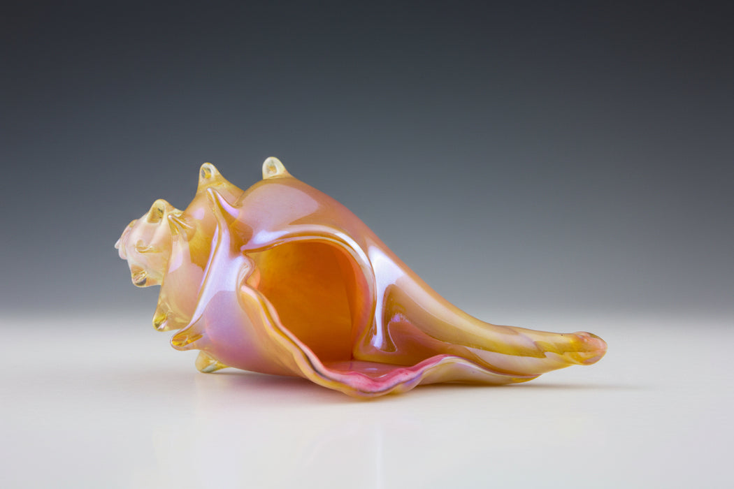 Pink and Amber Shell